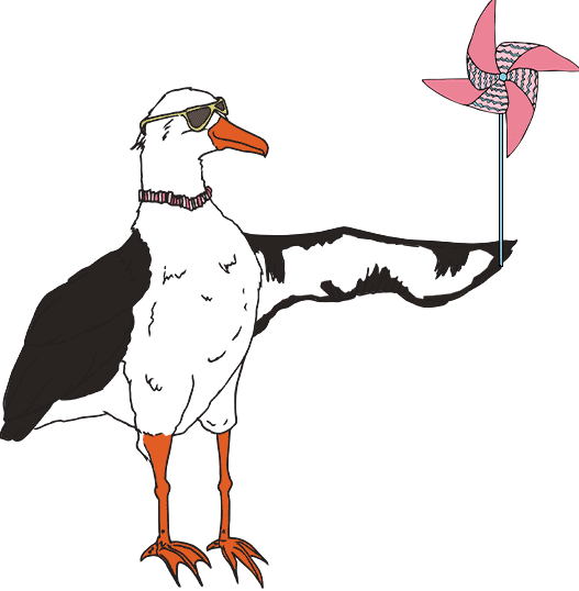 albatross gif